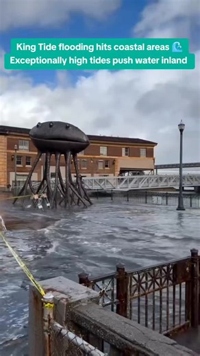 King Tide flooding hits coastal areas 🌊 Exceptionally high tides push water inland #kingtide #flooding #sf #ferrybuilding #flood