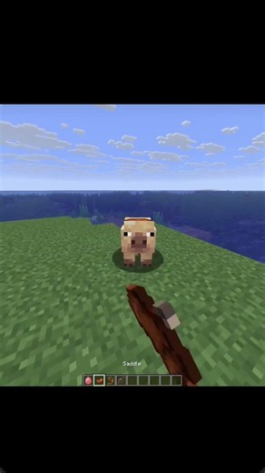 Fastest way to travel in ocean Minecraft 😧 #minecraft