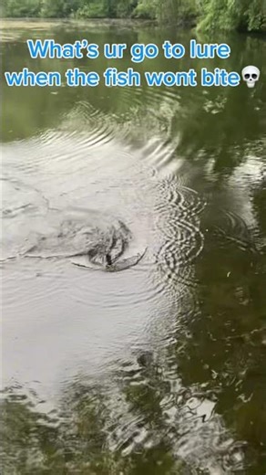 Wacky rig senko works best for me 😂 #fishing #bass #wackyrig