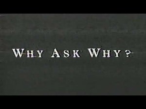 Bud Dry | Why Ask Why? Classic 1990s Commercial