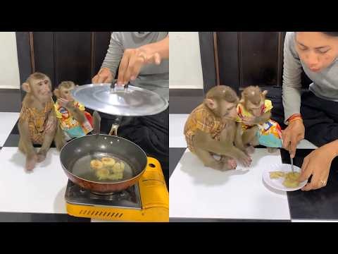 Cute Baby Monkeys Watch Banana Fritters Being Cooked 🍌🐒 | Adorable Snack Time