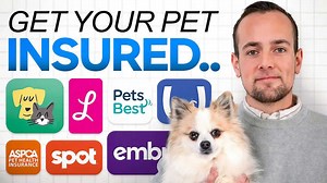 7 Best Pet Insurance Providers In 2025