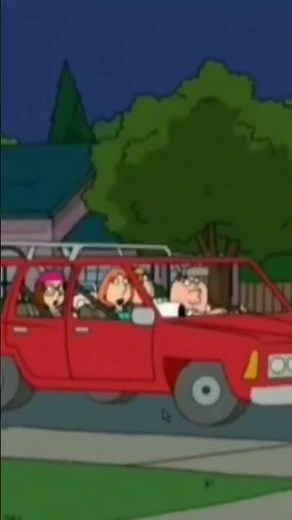 Peter Griffin - YOU STUPID NI-