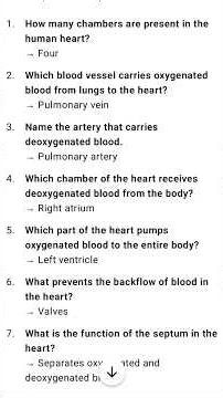 Heart with well labelled diagram and functions