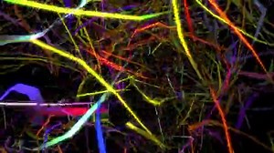 Looped Loops Backgrounds Different Events Projects