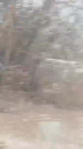 Mobilisation des moyens aériens par la protection civile pour sauver trois jeunes coincés dans la rivière du Sebaou du côté du village Iseklaouiene dans la commune de Tizi-Ouzou. L'opération est toujours en cours. | Radio Tizi Ouzou