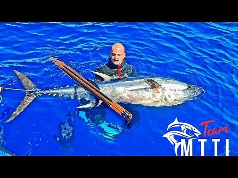 THON ROUGE 166KG a l'agachon un rêve de chasseur Marseille 2021