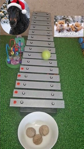 Falling ball on metal 🌈 💐 🌟 🤩.