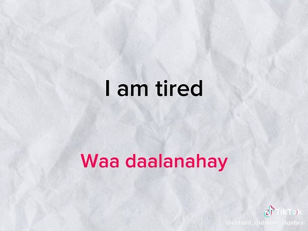 Daily useful sentences Jumlado gaagaaban oo waxtar leh Si maalinla ahna loo isticmaalo #tiktok #capcut #English #learning #somali #somalitiktok #Mogadiahu #viral #video #views #foryoupage❤️❤️ #foryoupag