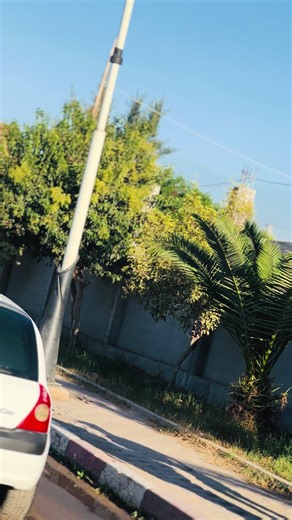 Cheb Ali Mdjadji: Musique Algérienne Moderne