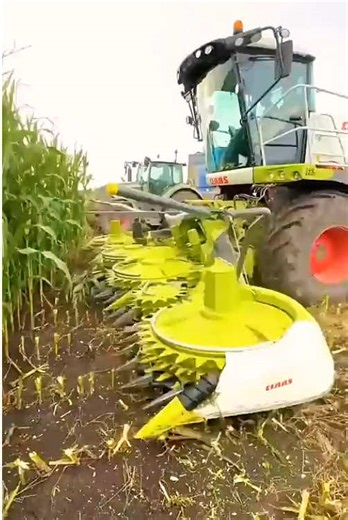 Understanding the Silage Production Process