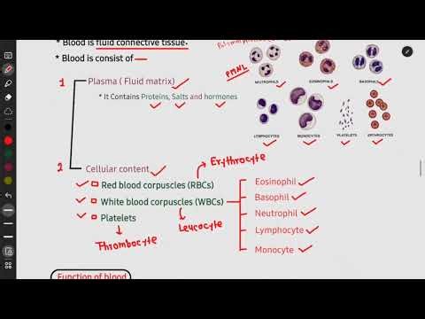 ANIMAL TISSUE ( Connective tissue ) // Class 9th biology