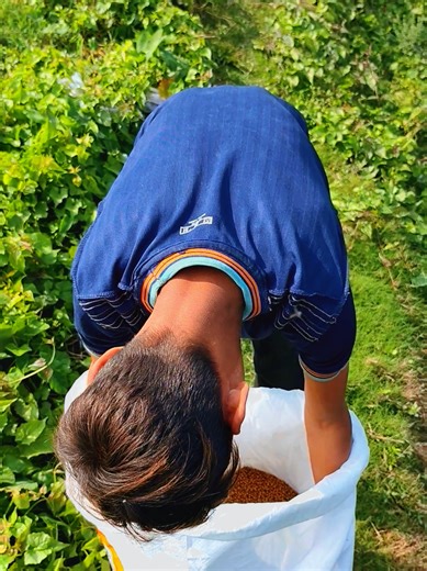 Ultimate Guide to Fish Feeding Techniques