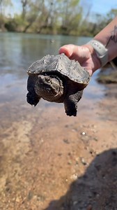 168K views · 10K reactions | Last week we had the privilege of...