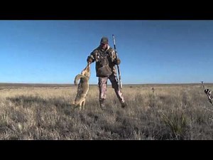 Predator Quest - Coyotezilla