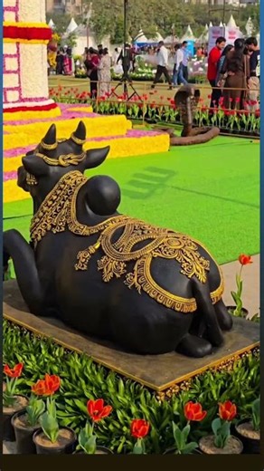 Noida flower show #vasantutsav #noidagram #noidafestival #ytshorts #viral #trending