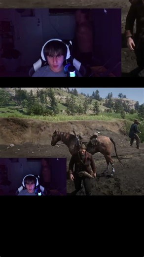 Author...?? #cursed #what #stream #rdr2