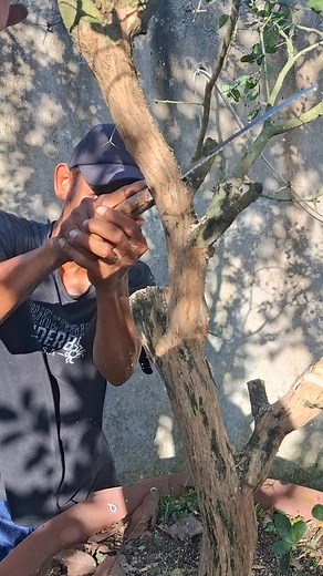 8.2K views · 107 reactions | Dihabisi bang Fairuz | Sayuti Sayuti | Facebook