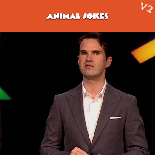 Welcome back to the jungle! Here are even more classic Jimmy animal jokes! | Jimmy Carr