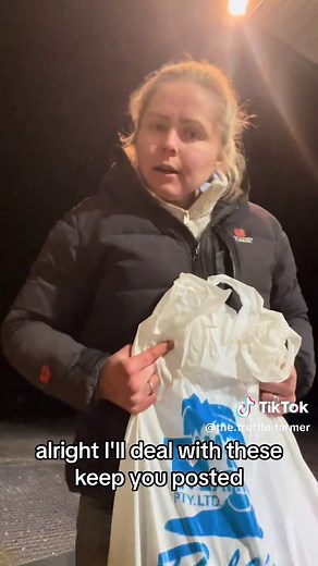 Fresh Truffle Harvest: 10kg from Tasmania