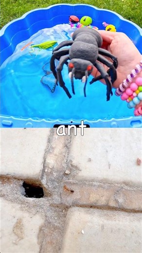 Bug Insect Names | Kids Learn with Toys: Ant Snail Mosquito Millipede Dragonfly