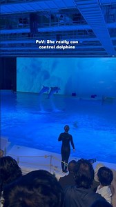 full video out👆🏻#dolphinshow #kolmarden #shortsviral #creativecreation #chanduschapters #minivlog