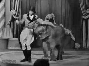 230K views · 9.6K reactions | Bobby Freeman - Do You Wanna Dance...