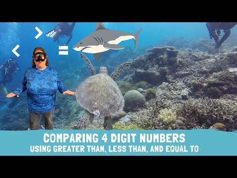 Comparing 4 digit Numbers