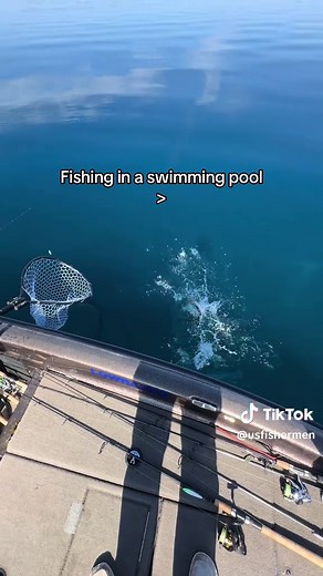 Fishing for Smallmouth Bass in a Swimming Pool