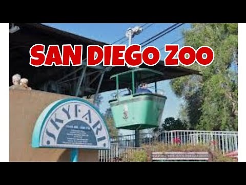 Skyfari Aerial Tram San Diego Zoo