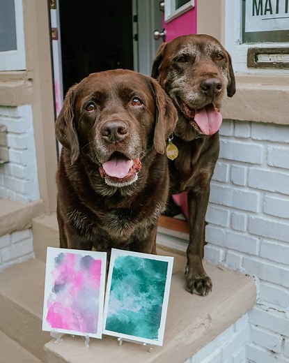 Paint with Your Dog: Quick and Easy Lick Painting Tutorial - Wear Wag Repeat