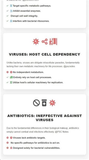 Principles of Antiviral Therapy: Drug Targets and Mechanisms of Action