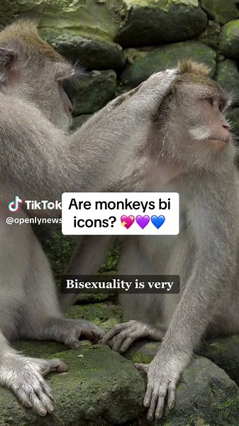 Same-sex behaviour in the animal kingdom had already been reported in the past, but this is one of the most detailed scientific records of bisexuality among animals. “We found most males were behaviourally bisexual, and that variation in same-sex activity was heritable,” said the first author Jackson Clive from Imperial College London. “Our research therefore shows that same-sex sexual behaviours can be common amongst animals and can evolve. I hope our results encourage further discoveries in th