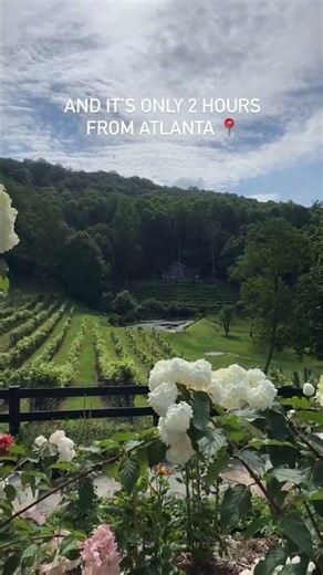 The Ultimate Weekend Getaway Near Atlanta | The Vineyard at High Holly