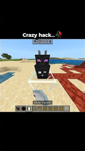 Crazy hack... 🥀 #minecraft #minecraftmeme #gaming #minecraftsurvival #memes #minecraftsong #shorts