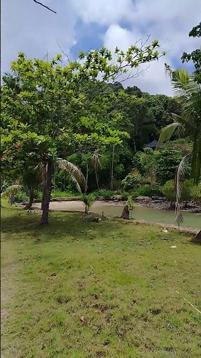 Nice beautiful area Koh Chang! #thailand #beach #nature #travel #coconut #camping