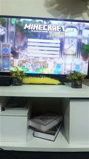 What do u like Minecraft/Angry bird?