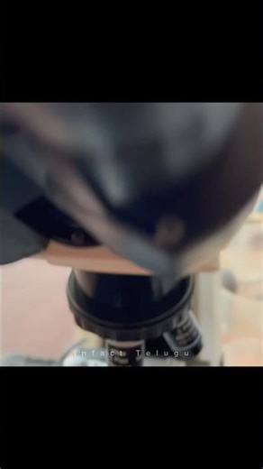 This can survive Space vacuum #universe #space #solarsystem #astronomy #education #infacttelugu