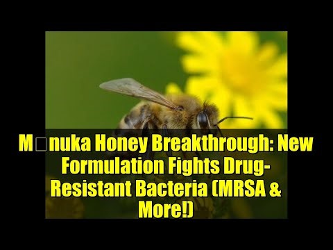 Mānuka Honey Breakthrough: New Formulation Fights Drug-Resistant Bacteria (MRSA & More!)