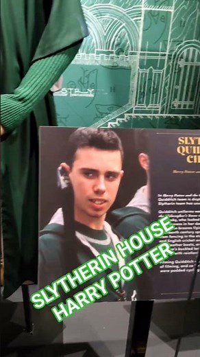Slytherin House at the Harry Potter Exhibition