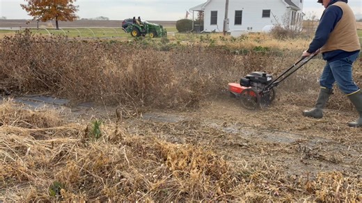 Rows and Rose on Reels