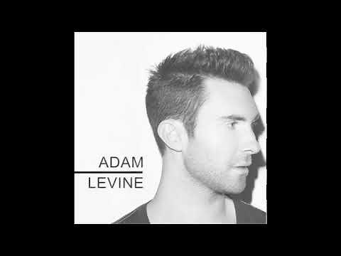 Adam Levine - Stereo Hearts (no rap)