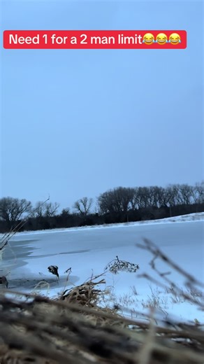 #ducks#duckhunting#shooting#oklahoma | ducks