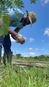 DIY Paddock Gate: Building a Ranch Gate from Scratch! 🚜💨