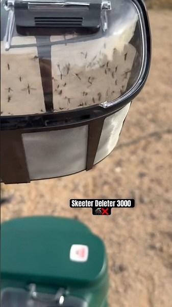 How to get rid of Mosquitoes