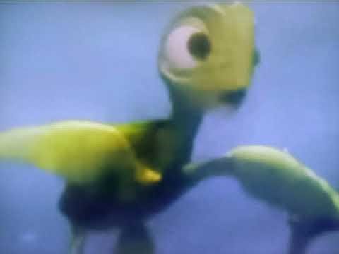 Disney Pixar Finding Nemo (2003) voice Vanessa Marano as Sea Turtle Kid