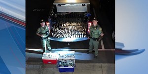 SCDNR cites 2 fishermen for violating fishing laws on Springmaid Pier