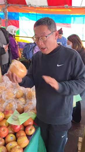 梨山雪梨優惠活動