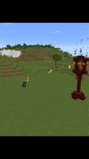 Blaze Defence System in MINECRAFT😱...