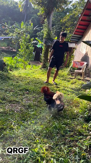 5K sweater vs 5K sweater Grey Exercise ng Turon Turon Line No animal were harmed in this Video ☺️ For Breeding Purposes Only #fypシ゚viralシfypシ゚viralシalシ #highlightsシ゚ #QRGF | John Timothy Montillano